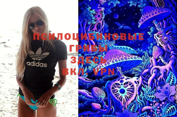 Альфа ПВП Богородск