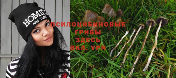 скорость mdpv Богданович