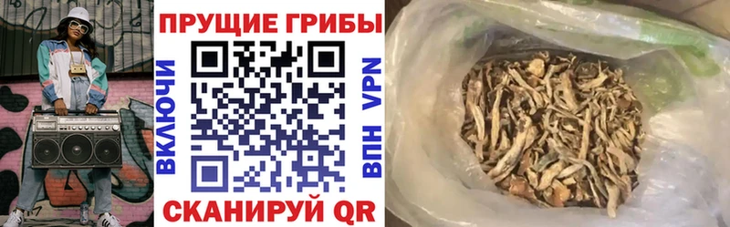 KRAKEN вход  Нерехта  Псилоцибиновые грибы Cubensis  как найти наркотики 